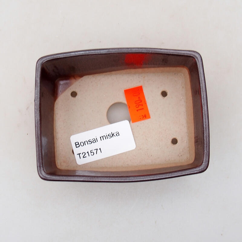 Ciotola per bonsai in ceramica 9,5 x 7 x 3,5 cm, marrone