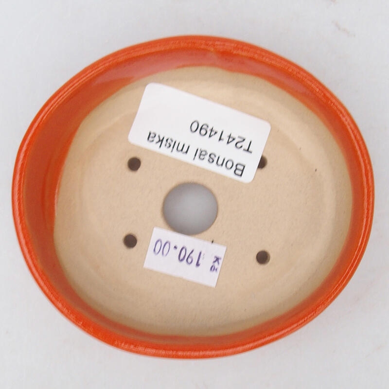 Ciotola bonsai in ceramica 9,5 x 8,5 x 3 cm, arancione