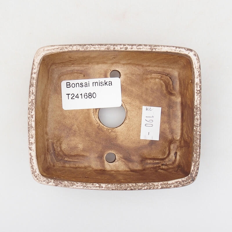 Ciotola per bonsai in ceramica 9,5 x 8 x 3,5 cm, beige-marrone