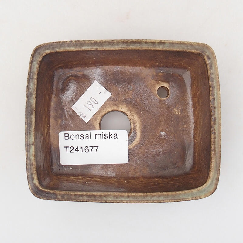 Ciotola per bonsai in ceramica 9,5 x 8 x 3,5 cm, marrone