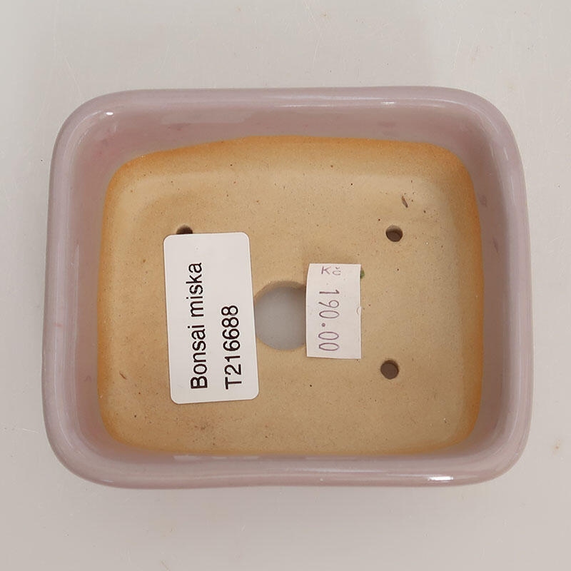 Ciotola bonsai in ceramica 9,5 x 8 x 3 cm, rosa