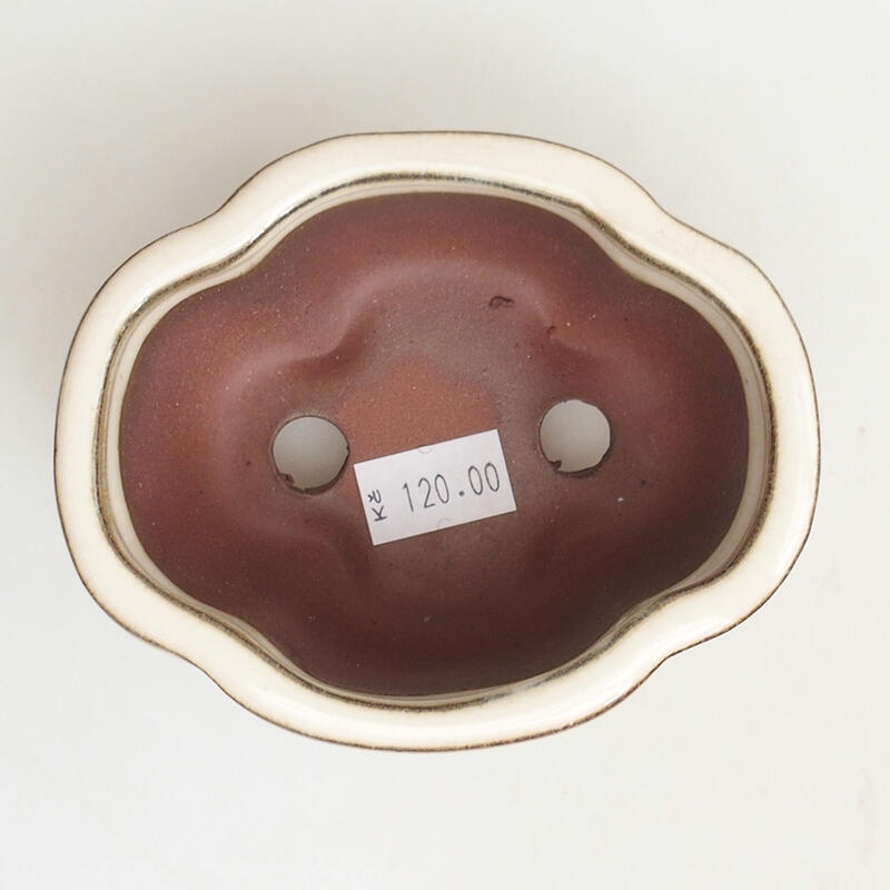 Ciotola per bonsai in ceramica 9,5 x 8 x 5 cm, colore beige