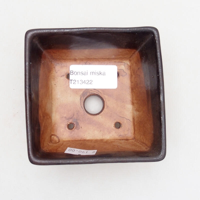 Ciotola per bonsai in ceramica 9,5 x 9,5 x 5,5 cm, nero