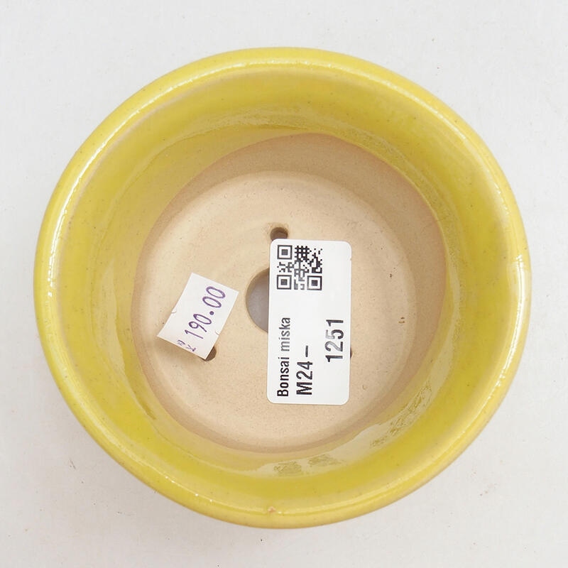 Ciotola bonsai in ceramica 9,5 x 9,5 x 5,5 cm, giallo