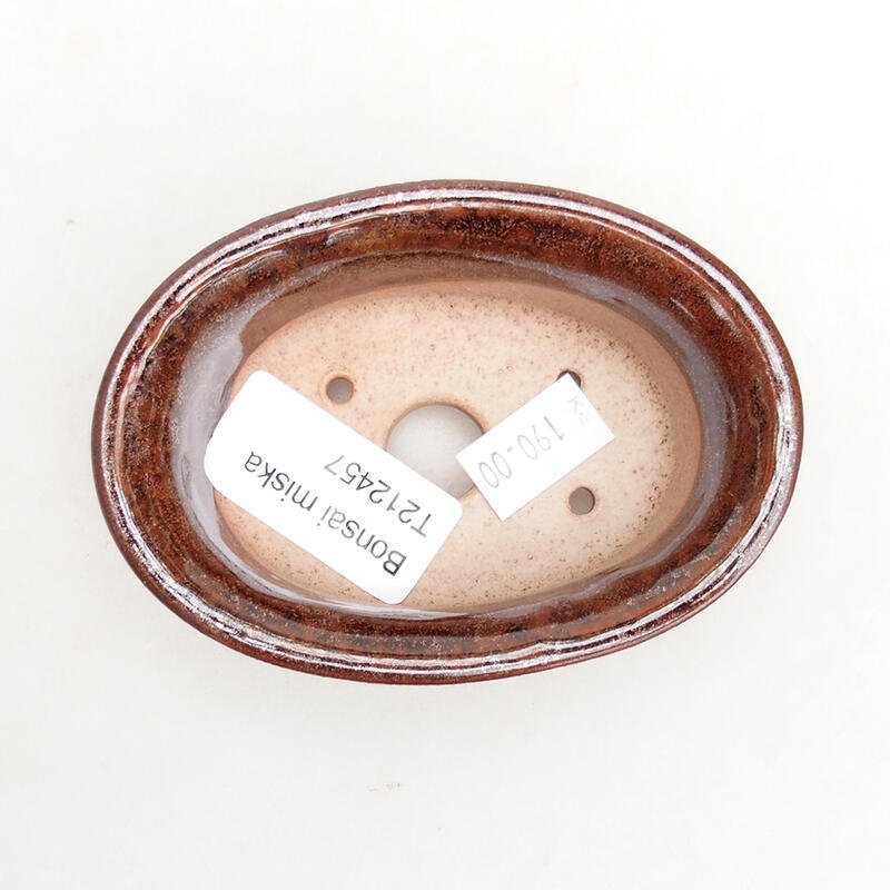 Ciotola per bonsai in ceramica 9 x 6,5 x 3,5 cm, marrone