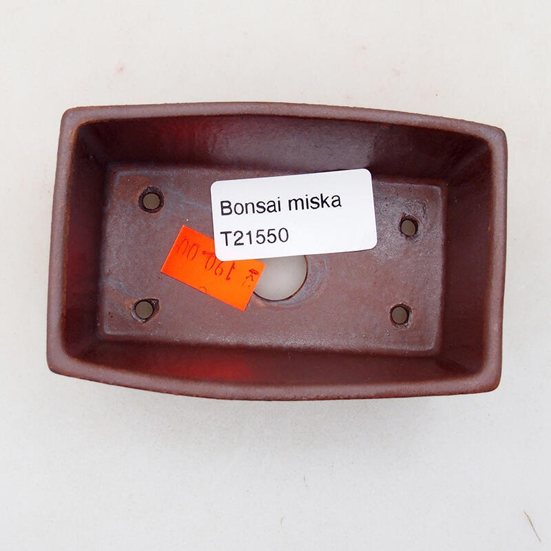 Ciotola per bonsai in ceramica 9 x 6 x 3,5 cm, marrone