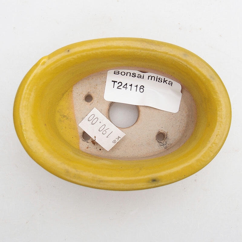 Ciotola bonsai in ceramica 9 x 6 x 3 cm, giallo