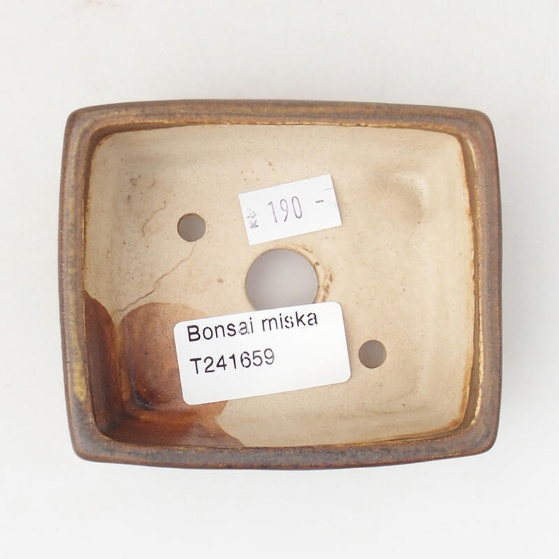 Ciotola per bonsai in ceramica 9 x 7,5 x 3,5 cm, marrone