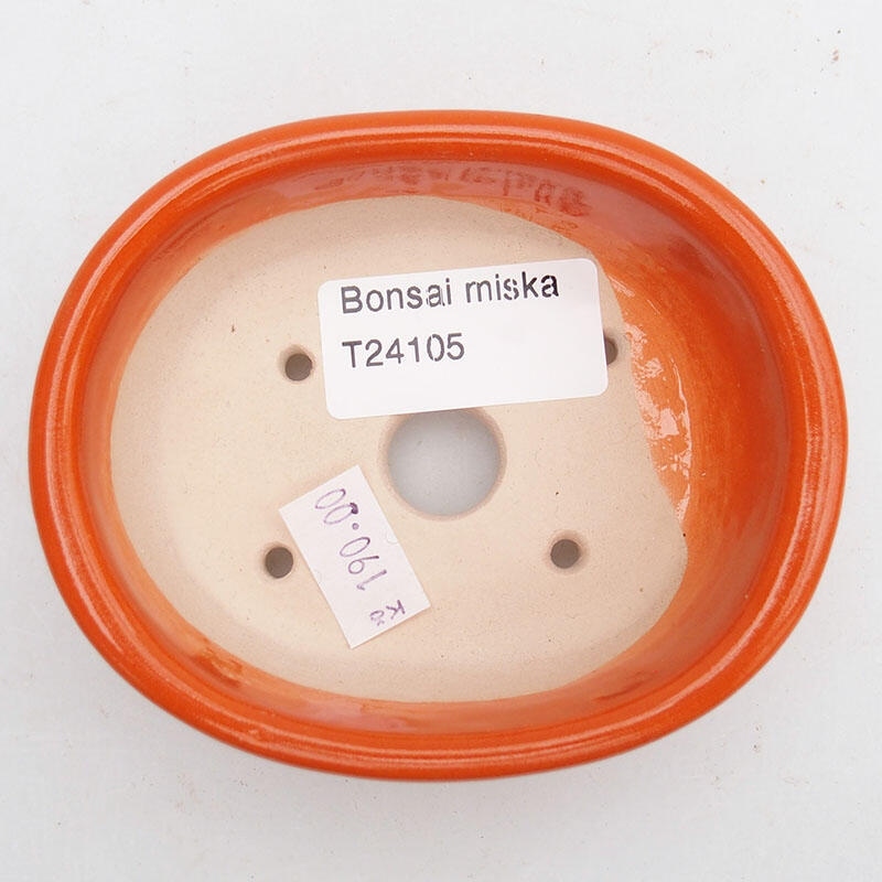 Ciotola per bonsai in ceramica 9 x 7,5 x 3,5 cm, arancione