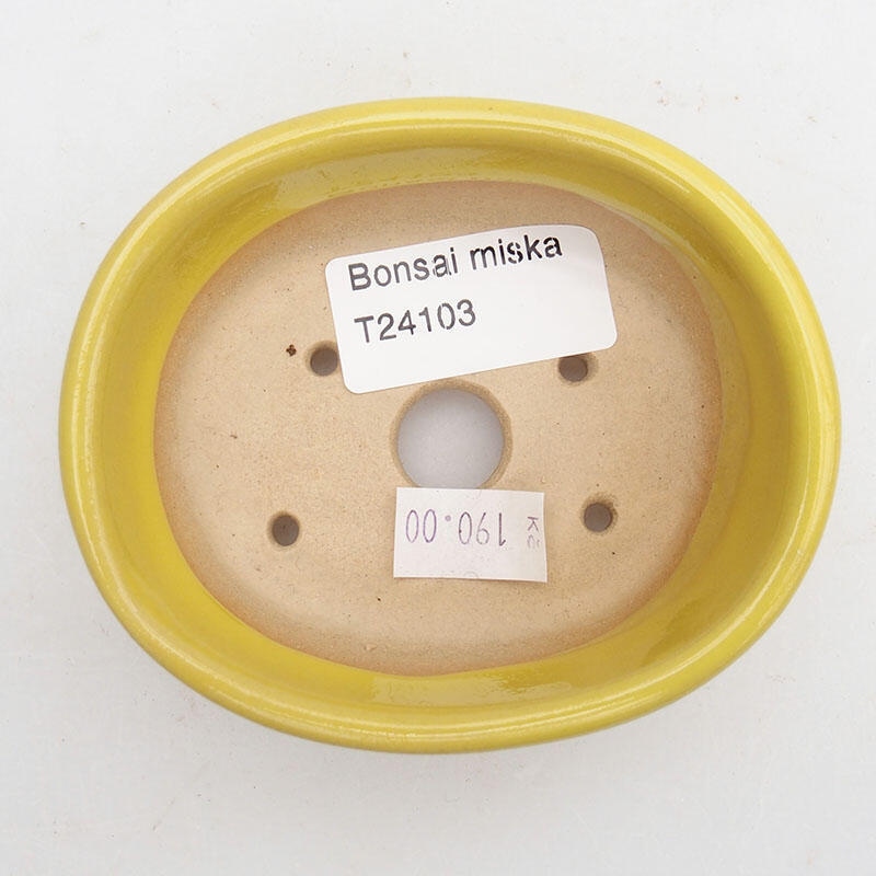 Ciotola bonsai in ceramica 9 x 7,5 x 3,5 cm, giallo
