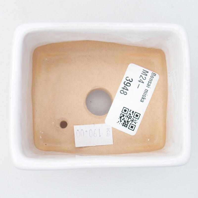 Ciotola per bonsai in ceramica 9 x 7 x 4,5 cm, colore bianco