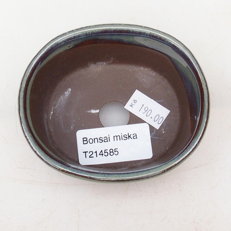 Ciotola per bonsai in ceramica 9 x 8 x 4 cm, verde