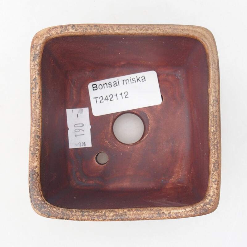 Ciotola bonsai in ceramica 9 x 9 x 5,5 cm, rosa