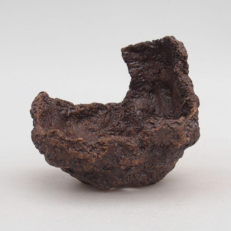 Conchiglia in ceramica 10 x 11 x 9,5 cm , colore marrone