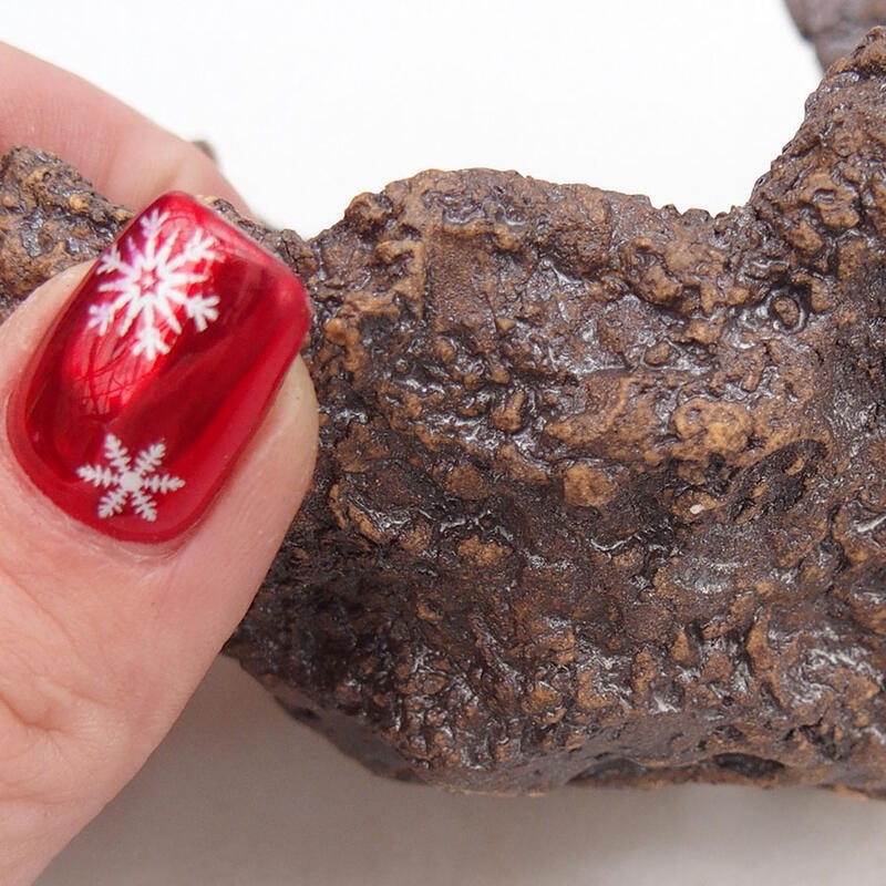 Conchiglia in ceramica 10 x 11 x 9,5 cm , colore marrone