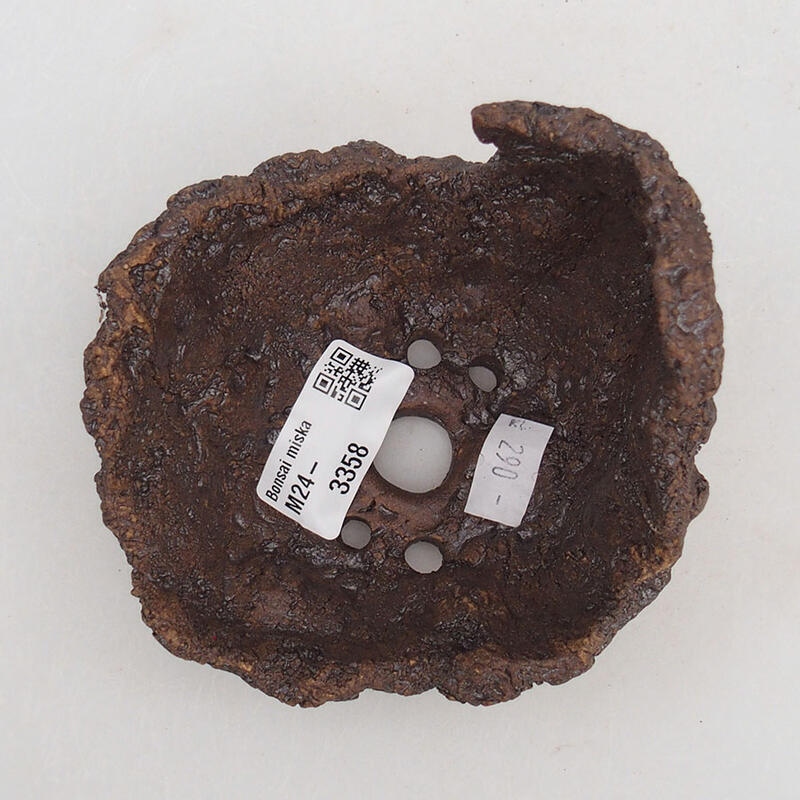 Conchiglia in ceramica 10 x 11 x 9,5 cm , colore marrone