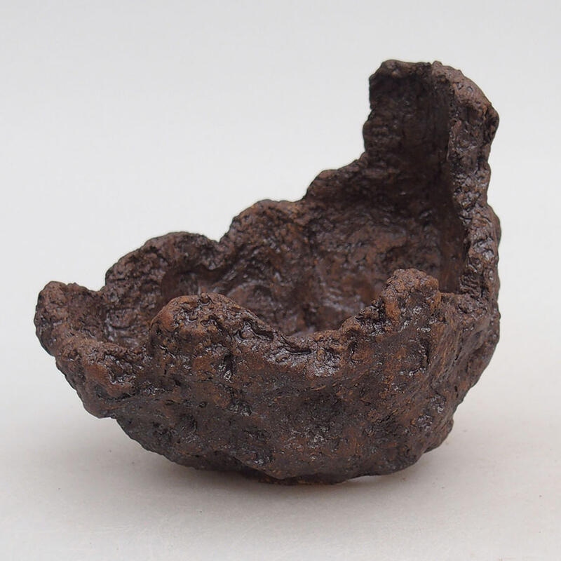 Conchiglia in ceramica 10 x 11 x 9 cm , colore marrone