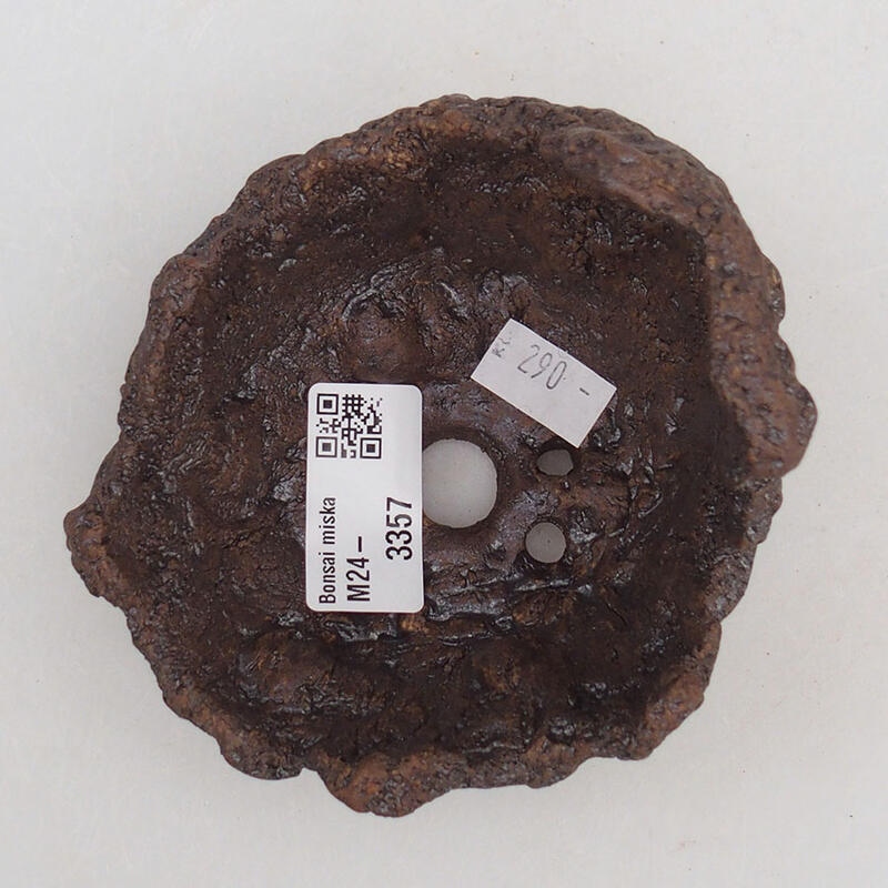 Conchiglia in ceramica 10 x 11 x 9 cm , colore marrone