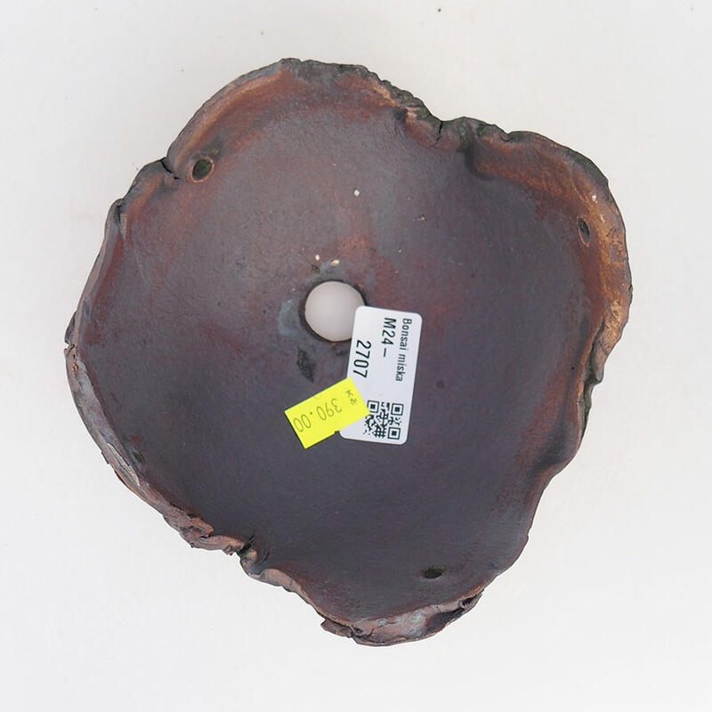 Conchiglia in ceramica 13 x 13 x 8 cm , colore verde