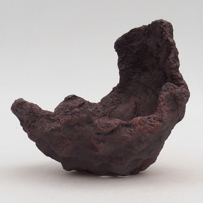 Conchiglia in ceramica 13 x 15 x 13 cm , colore rosso bruno