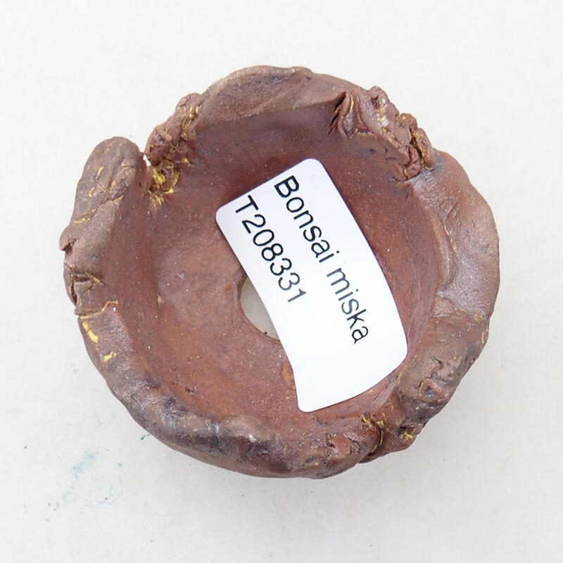 Conchiglia in ceramica 4,5 x 4,5 x 4 cm , colore nero