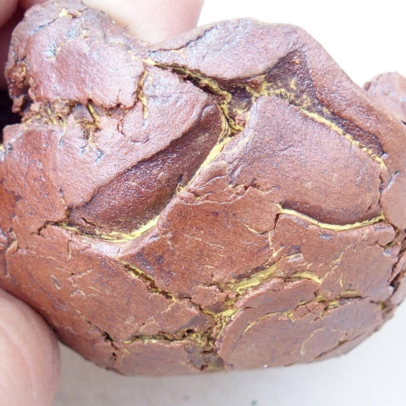 Conchiglia in ceramica 4,5 x 4,5 x 4 cm , colore nero