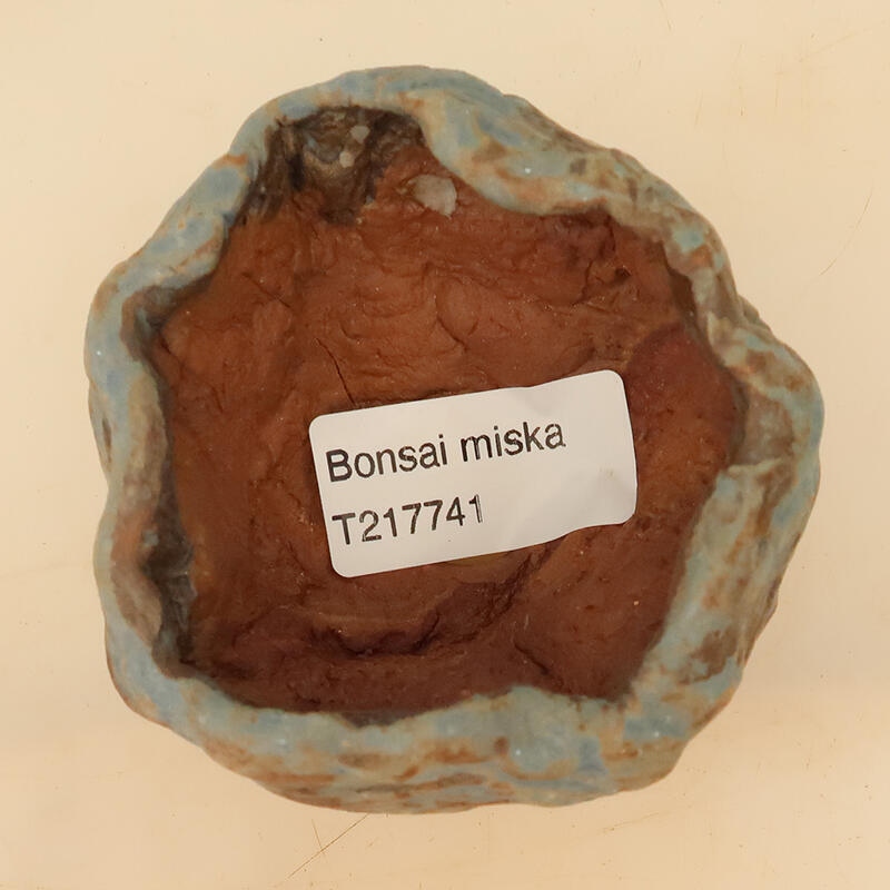 Conchiglia in ceramica 4,5 x 4,5 x 7 cm , colore blu