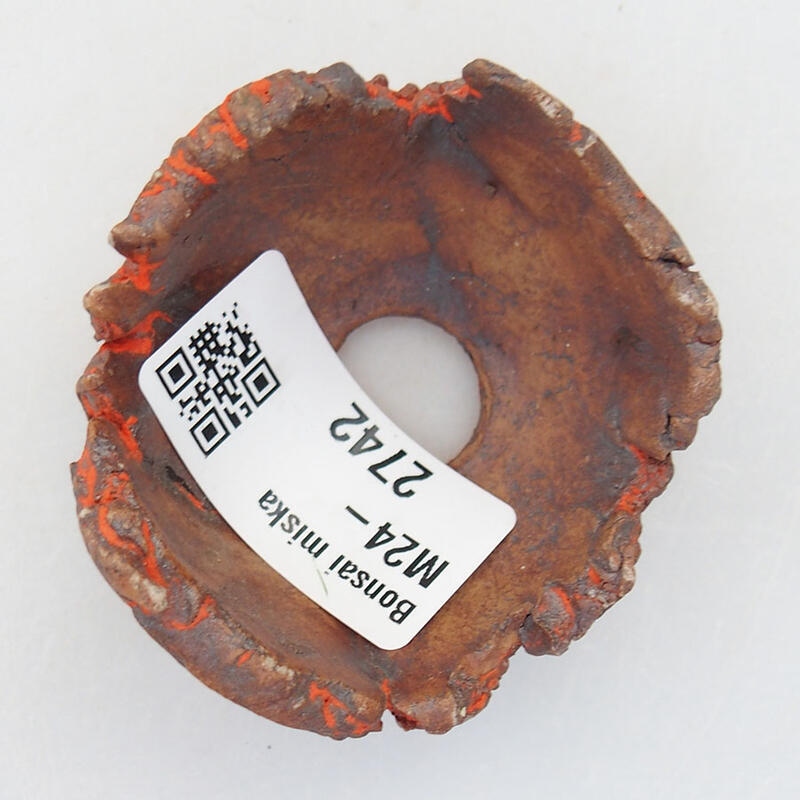 Conchiglia in ceramica 5,5 x 5,5 x 3 cm , colore arancione