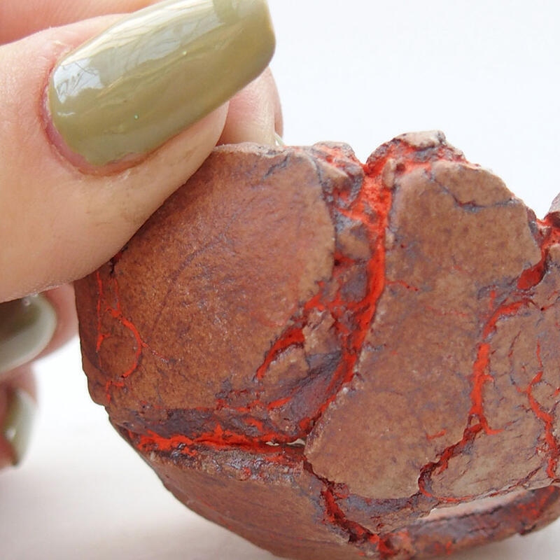 Conchiglia in ceramica 5,5 x 5,5 x 3 cm , colore arancione