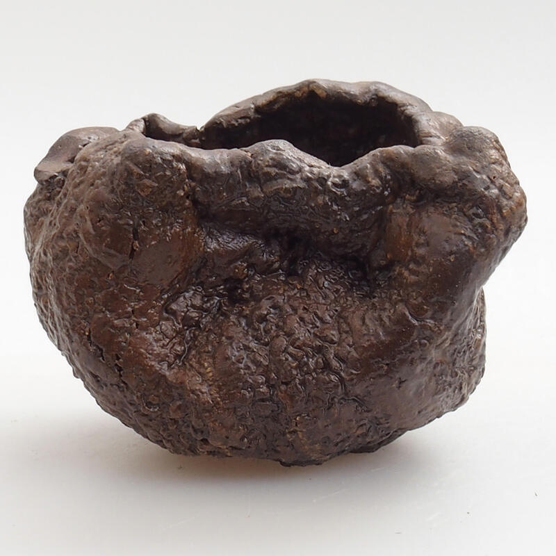 Conchiglia in ceramica 5 x 3 x 5 cm , colore verde-marrone