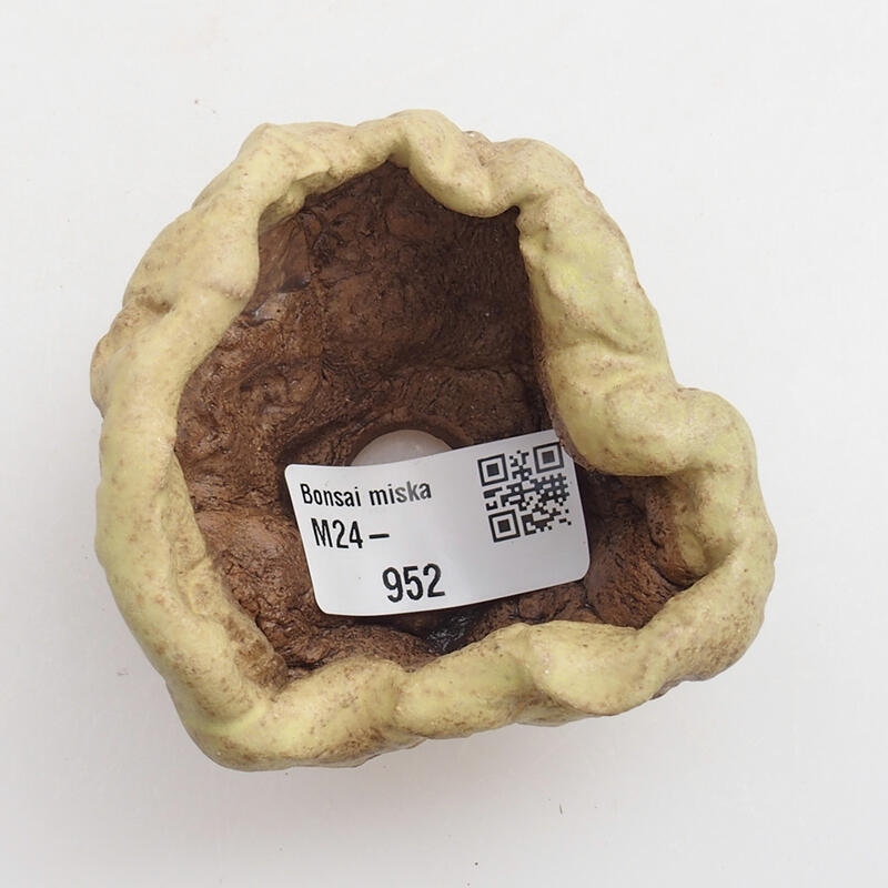 Conchiglia in ceramica 5 x 5 x 5 cm , colore verde