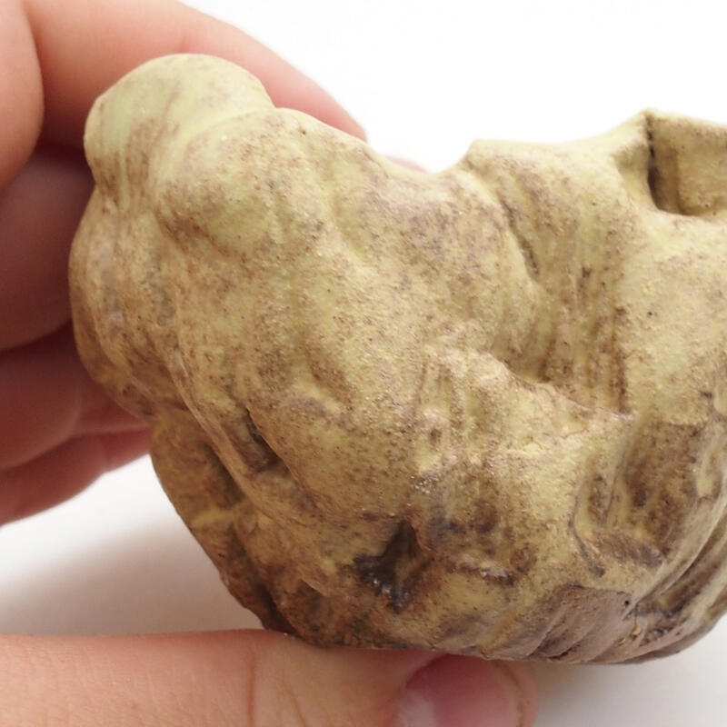 Conchiglia in ceramica 5 x 5 x 5 cm , colore verde