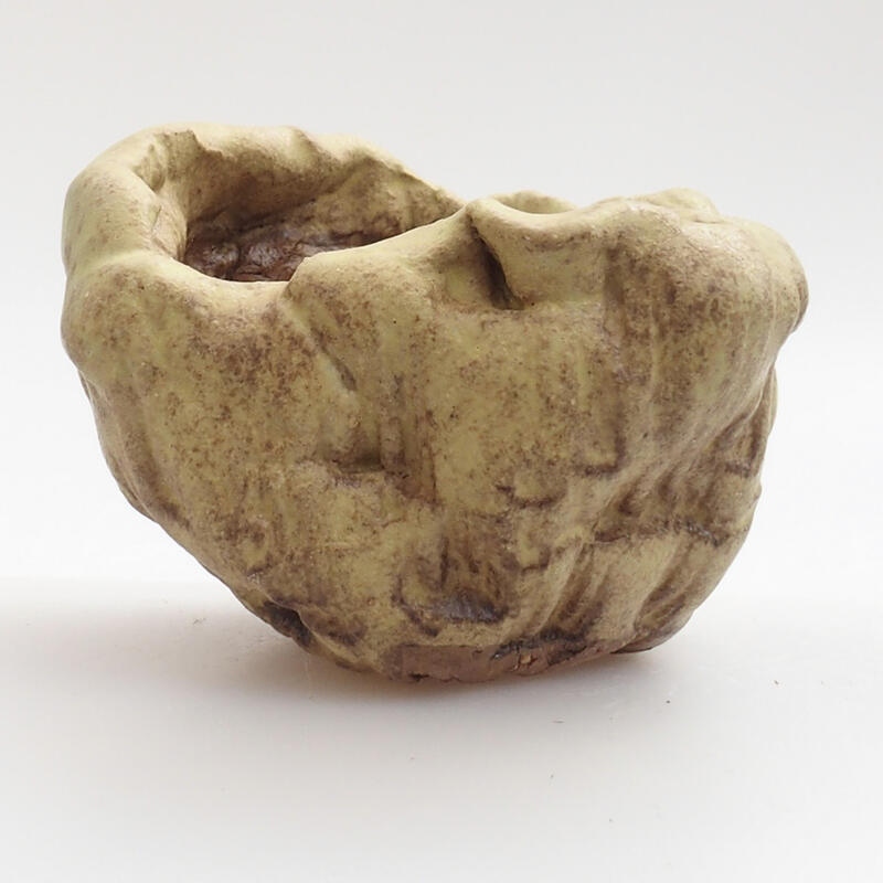 Conchiglia in ceramica 5 x 5 x 5 cm , colore verde