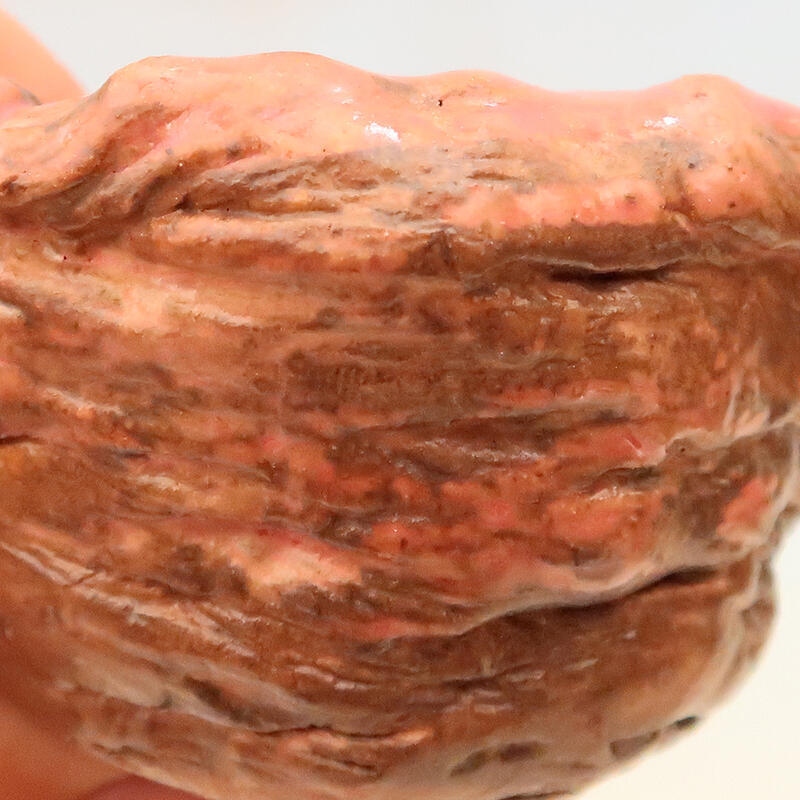 Conchiglia in ceramica 5 x 5 x 6 cm , colore rosa