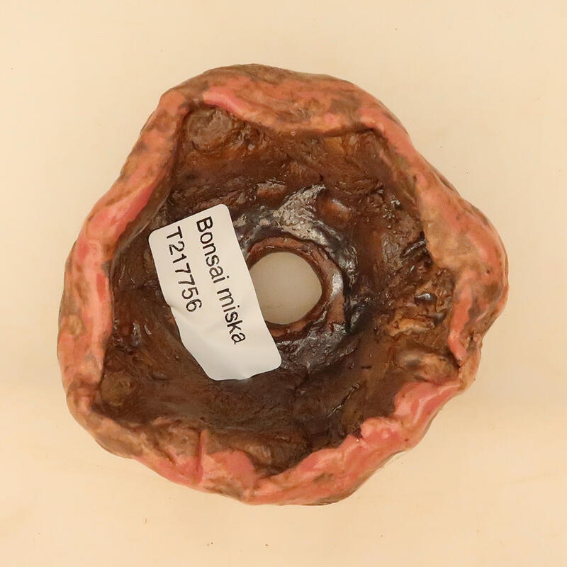 Conchiglia in ceramica 5 x 5 x 6 cm , colore rosa