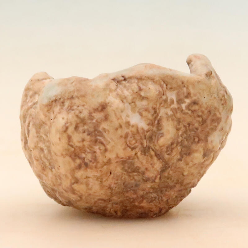 Conchiglia in ceramica 5 x 5 x 8 cm , colore beige