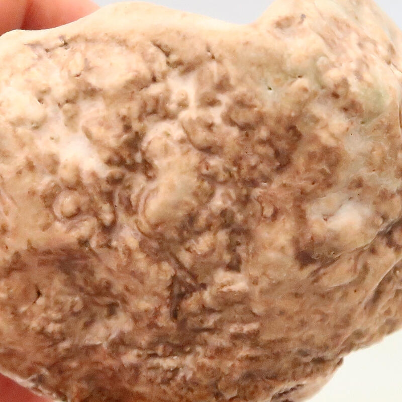 Conchiglia in ceramica 5 x 5 x 8 cm , colore beige