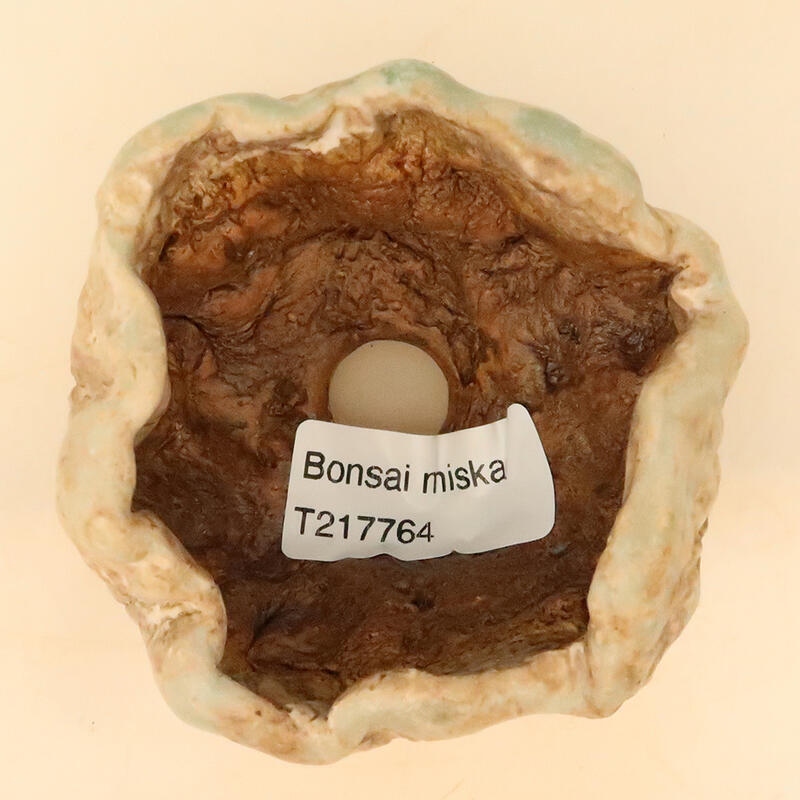 Conchiglia in ceramica 5 x 5 x 8 cm , colore beige