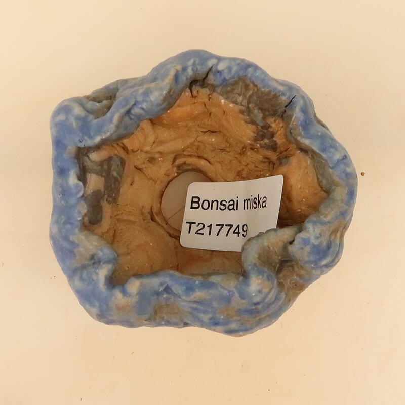 Conchiglia in ceramica 5 x 5 x 8 cm , colore blu