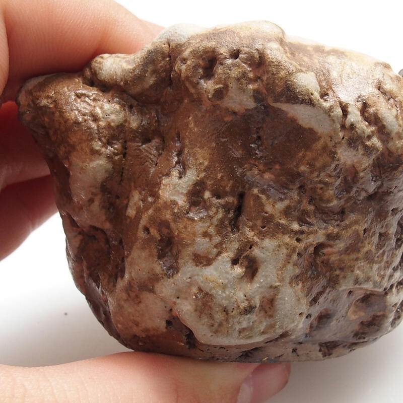 Conchiglia in ceramica 5 x 6 x 4 cm , colore verde-marrone