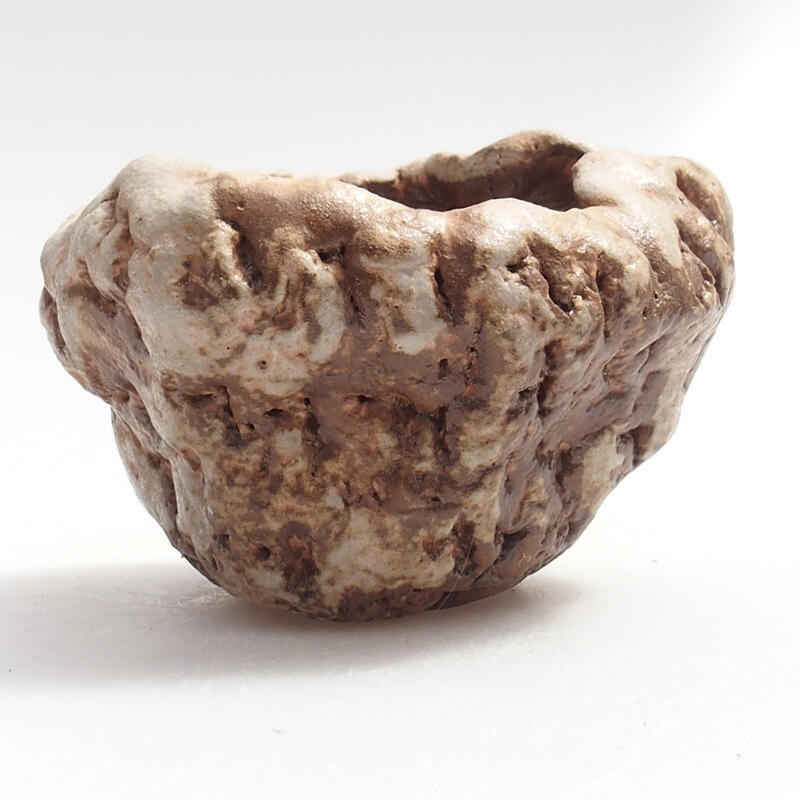 Conchiglia in ceramica 5 x 6 x 6 cm , colore verde-marrone