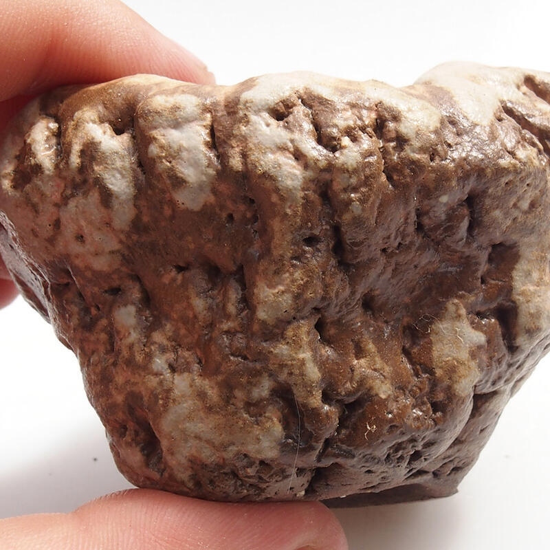 Conchiglia in ceramica 5 x 6 x 6 cm , colore verde-marrone