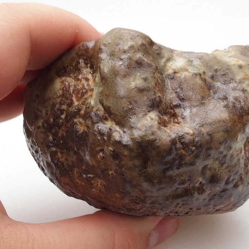 Conchiglia in ceramica 6,5 x 5 x 5 cm , colore verde-marrone