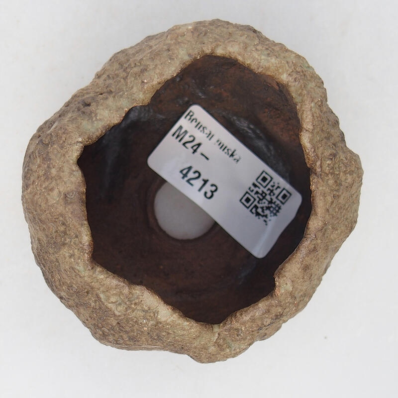 Conchiglia in ceramica 6,5 x 6,5 x 5,5 cm , colore beige