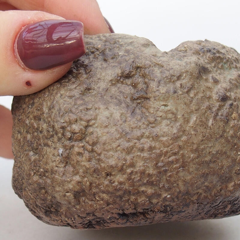 Conchiglia in ceramica 6,5 x 6,5 x 5,5 cm , colore beige