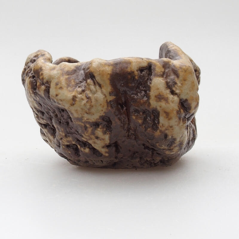 Conchiglia in ceramica 6 x 5 x 4 cm , colore bianco-marrone