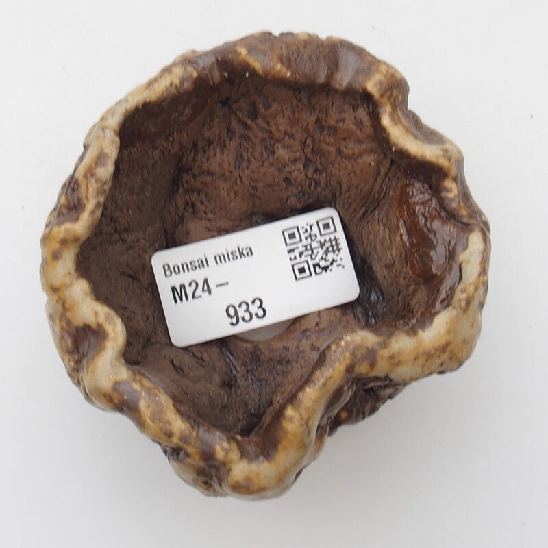 Conchiglia in ceramica 6 x 5 x 4 cm , colore bianco-marrone