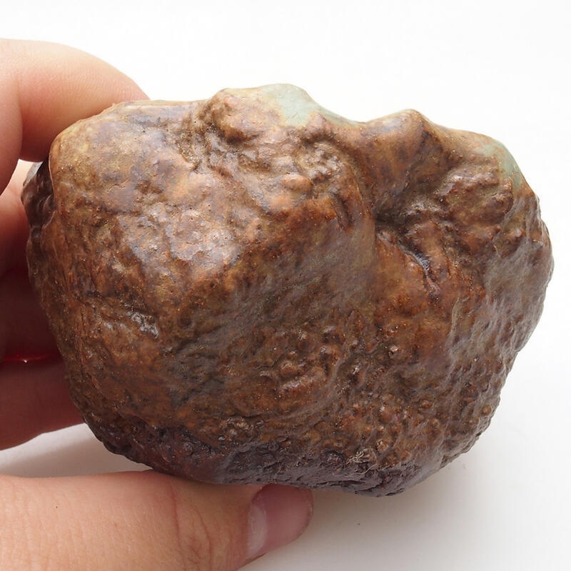 Conchiglia in ceramica 6 x 5 x 5,5 cm , colore verde-marrone