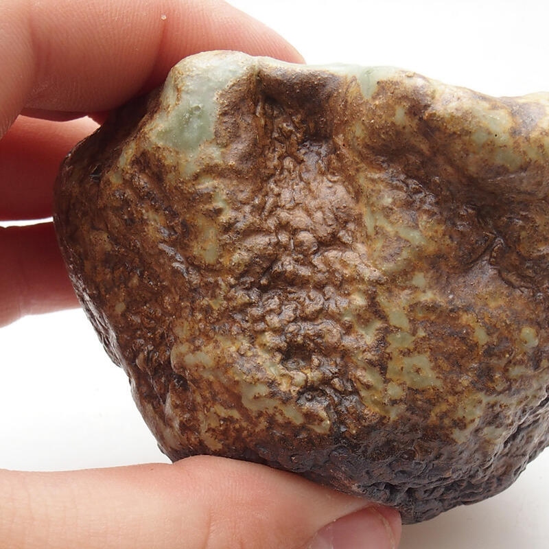 Conchiglia in ceramica 6 x 5 x 5 cm , colore verde-marrone