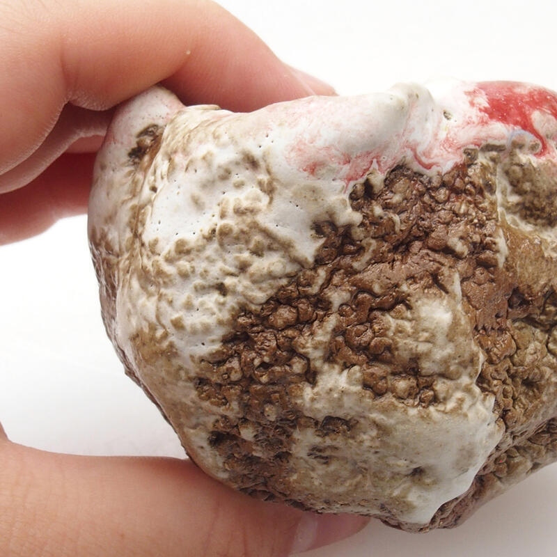 Conchiglia in ceramica 6 x 5 x 6 cm , colore rosso e bianco